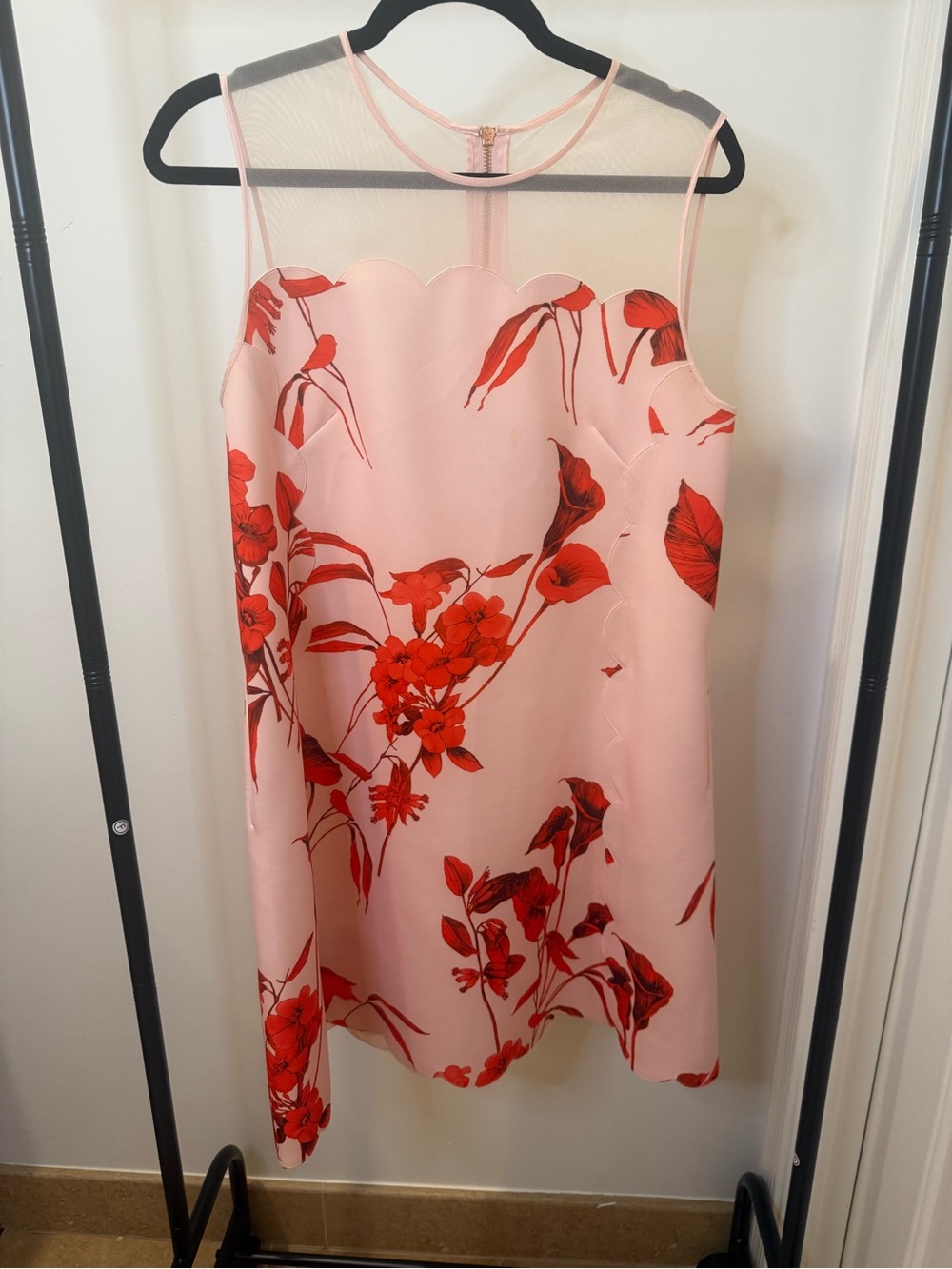 Ted Baker Jaazmin Fantasia Pink Dress with Red Floral Print